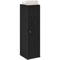 Berkfield Home Bathroom Cabinet with Roll Holder Black 20.5x22x72 cm