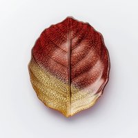 Sienna Glass Glass Plate Leaf Design Brown & Gold in Dark Red
