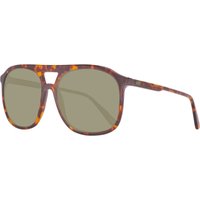 HH5019 C02 55 Sunglasses