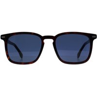 Square Havana 1364 S Brown