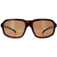 Wrap Shiny Tortoise Saturn Drivers Polarized Hext