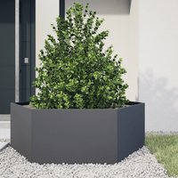 Berkfield Home Garden Planter Anthracite Hexagon 138x120x45 cm Steel in Black | Size: 138 x 120 x 45 cm