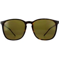 Ray-Ban Men's Square Tortoiseshell Brown RB4387 Sunglasses