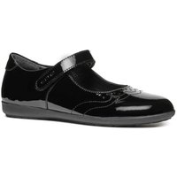 J IBERIDE BALLERINA 1.5