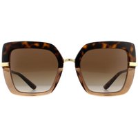 Dolce & Gabbana Women's Square Top Havana on Transparent Brown Brown Gradient Sunglasses