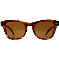 Rectangle Striped Havana RB0707S
