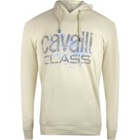 Cracked Sprayed Logo Hoodie