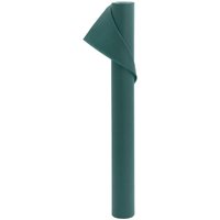 Berkfield Home Plant Fleece 70 g/m² 10x1.6 m in Green