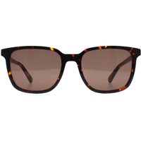 Rectangle Havana BR 4003 S