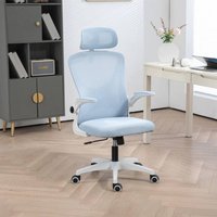 EONLION Executive Ergonomic Swivel Chair with Mesh in Blue