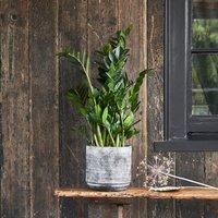 Ivyline Tivoli Planter Earth, H25cm x D26cm in Mid Grey