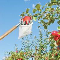 Primrose Steel Fruit PickerCatch Bag 20cm in Silver