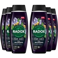 Radox Men's 6x Mineral Therapy Feel Recovered 2in1 'Shower Gel' & Shampoo for Men, 450ml in Black