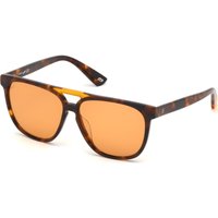 WE0263 5956J Sunglasses