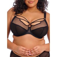 Elomi Women's Sachi Side Support Plunge Bra in Black | Size: 40DD
