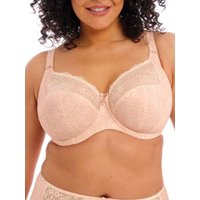 Elomi Women's Morgan Full Cup Bra in Pink | Size: 40HH