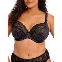 Elomi Women's Lucie Plunge Bra in Black | Size: 34G