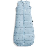 ergoPouch 100% GOTS Winter Jersey Sleeping Bag - 2.5 TOG Dragonflies in Light Blue | Size: 3-12 m