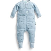 ergoPouch 100% GOTS Winter Long Sleeved Sleep Onesie - 2.5 TOG Dragonflies in Light Blue | Size: 2-3 Years