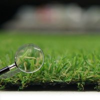 Artificial Grass GB Adelaide 20mm Artificial Grass in Green | Size: 4000mm x 4000mm
