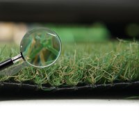 Artificial Grass GB Aurelie 30mm Artificial Grass in Green | Size: 4000mm x 6000mm