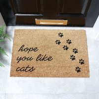 Artsy Mats Hope You Like Cats Doormat (60 x 40cm) in Brown | Size: 40 cm x 60 cm