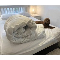 Clifton Easy Care Duvet - 15 Tog in White | Size: King
