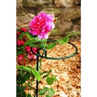 Poppyforge Small Bunch Support Rust (Pack of 4), Steel, L15 x W15 x H86cm, BM/RtR in Green