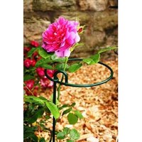 Poppyforge Medium Bunch Support Rust (Pack of 4) - Steel - BM/RtR in Green
