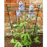 Poppyforge Large Peony Support (Pack of 2) - Steel - L50.8 x W50.8 x H78.7 cm in Green
