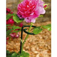Poppyforge Large Bunch Support (Pack of 4) - Steel - L30.4 x W30.4 x H86.4 cm in Green