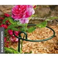 Poppyforge Small Bunch Support (Pack of 4) - Steel - L15.2 x W15.2 x H86.4 cm in Green