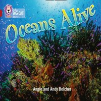 Angie Belcher Oceans Alive Paperback Book