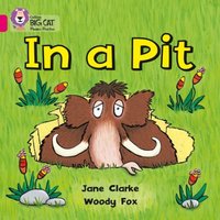 Woody Fox In a Pit Paperback Book