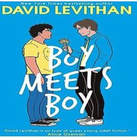 David Levithan BOY MEETS BOY PB Paperback Book