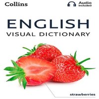 Collins Dictionaries ENG VISUAL DICT_VISUAL DICT PB : A photo guide to everyday words