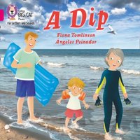 Fiona Tomlinson Dip Paperback Book
