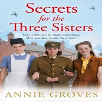 Annie Groves SECRETS FOR THREE_THREE SI2 PB Paperback Book