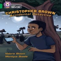 Valerie Bloom Christopher Brown: Accidental Detective Paperback Book