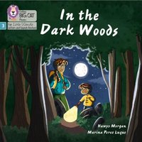 Hawys Morgan In the Dark Woods Paperback Book