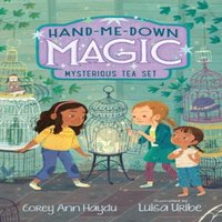 Corey Ann Haydu Hand-Me-Down Magic #4: Mysterious Tea Set Paperback Book