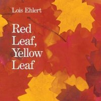 Lois Ehlert Red Leaf, Yellow Leaf Paperback Book