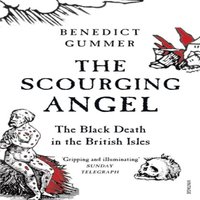Benedict Gummer Scourging Angel Paperback Book