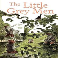 B.B. Little Grey Men Paperback Book