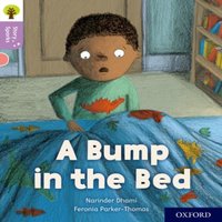 Narinder Dhami Oxford Reading Tree Story Sparks: Oxford Level 1+: A Bump in the