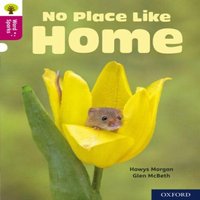Hawys Morgan Oxford Reading Tree Word Sparks: Level 10: No Place Like Home