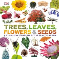 DK Our World in Pictures: Trees, Leaves, Flowers & Seeds Hardback Book
