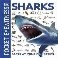 DK Pocket Eyewitness Sharks Paperback Book