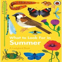 Elizabeth Jenner What to Look For in Summer Hardback Book