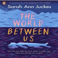 Sarah Ann Juckes World Between Us Paperback Book